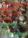 top most * love spells that work:⭅░▒▓█►─═+27631585216 █▓▒░⭆ツ find real - product's photo