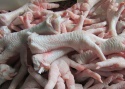 frozen chicken feet & paws, whole chiken - grade a processed - product's photo