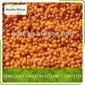buckthorn fresh frozen - product's photo