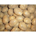 fresh potato 2017 - product's photo